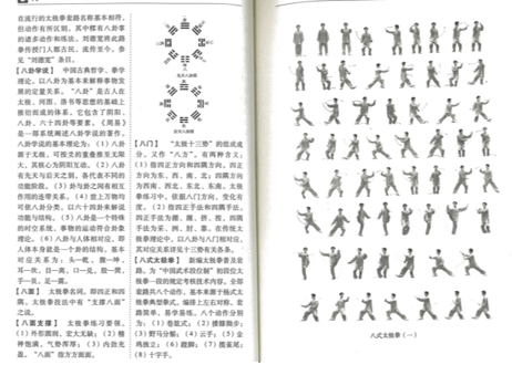※発行年が古いため経年劣化が見られます※【太極拳】中国太极拳辞典　　作者: 余功保