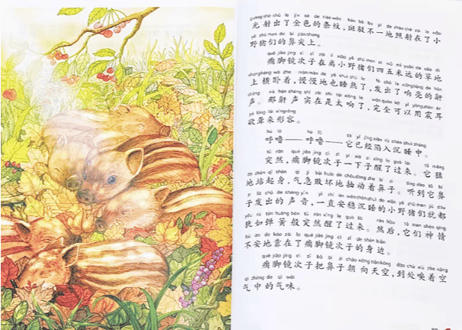 【６冊セット】 椋鸠十  动物小说　著：椋鳩十　※ピンイン表記　※ソフトカバー
