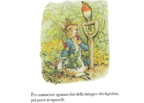 【イタリア語絵本】LA STORIA DI PETER CONIGLIO　 ※輸入書籍の為、輸送時のダメージや経年劣化が見られる場合がございます。