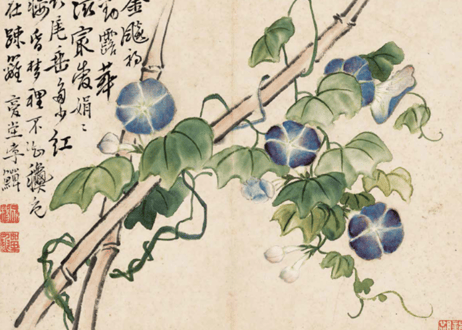 扬州八怪册页精选
