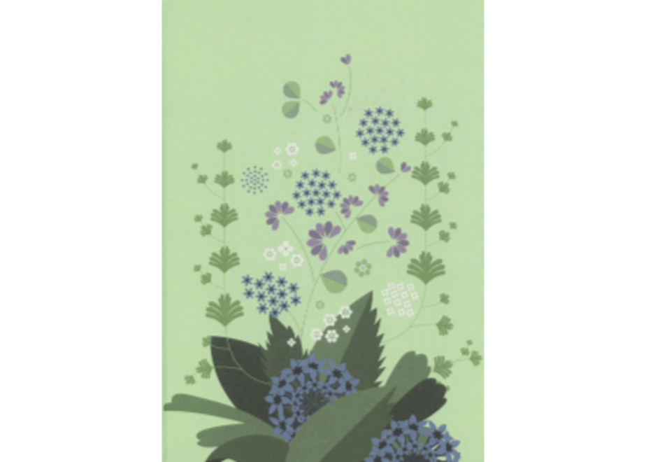 62ff3b69c362b30001e4a7bc