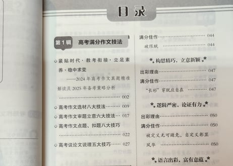 【作文】2024～2025 高考 满分作文 特辑