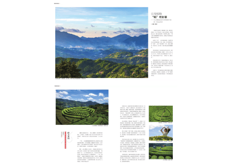 【雑誌/年間購読】 中国茶道『茶道』2025年度 年間購読　12冊/年間　毎月発送