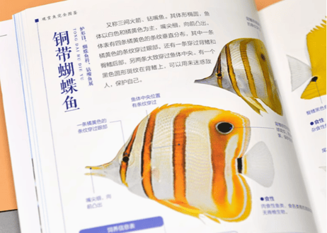 观赏鱼完全图鉴