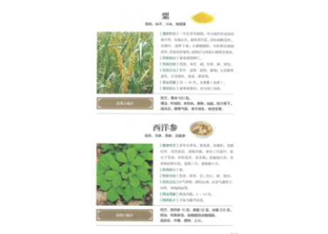 【漢方薬・解説本】中药材百科