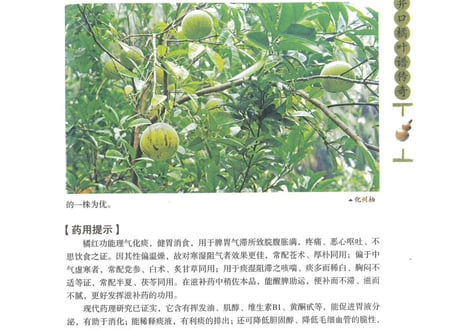 【漢方薬・解説本】中草药的故事  ～漢方薬のお話～