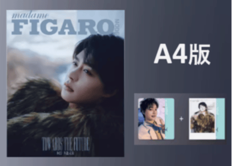 【柯淳】费加罗 Madame FIGARO MODE 2025年2月