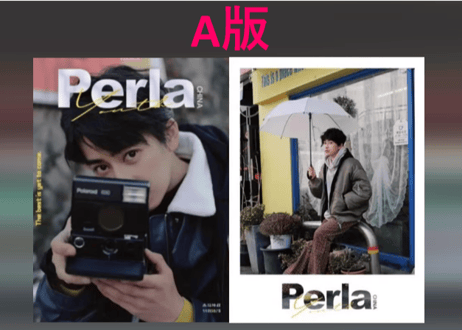 【本島純政】Perla 2025年 🌟和訳付き🌟
