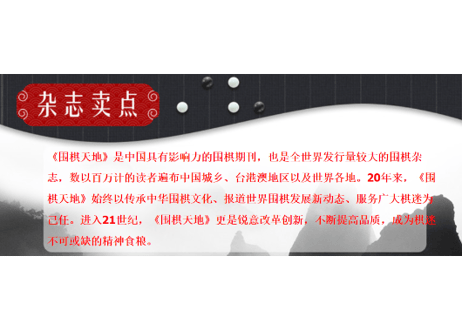 👆年間購読受付中👆【雑誌/年間購読】2026年度版 囲碁『围棋天地』年間購読　12+2冊/年　毎月1冊+別冊2冊　毎月1回発送