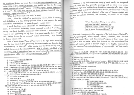 【小説：中国語・英語版(２冊セット)】简・爱 ＆ JANE EYRE（ジェーン・エア）著：シャーロット・ブロンテ　※中国語版と英語版の２冊セットです