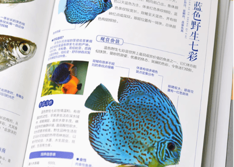 观赏鱼完全图鉴