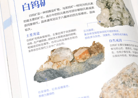 【図鑑・解説本】矿物与岩石完全图鉴