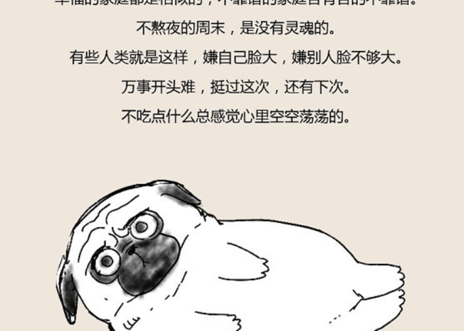 60fd283d72913468f4a3f1b1