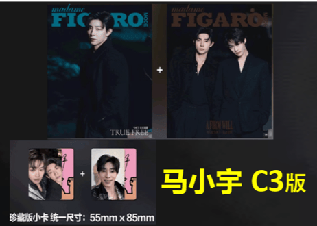 【赵柯淳・马小宇】费加罗 Madame FIGARO MODE 2025年2月