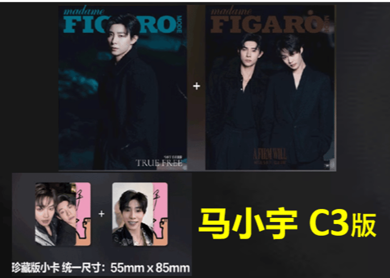 赵柯淳・马小宇】费加罗 Madame FIGARO MODE 2025年2月 | E'GA書店
