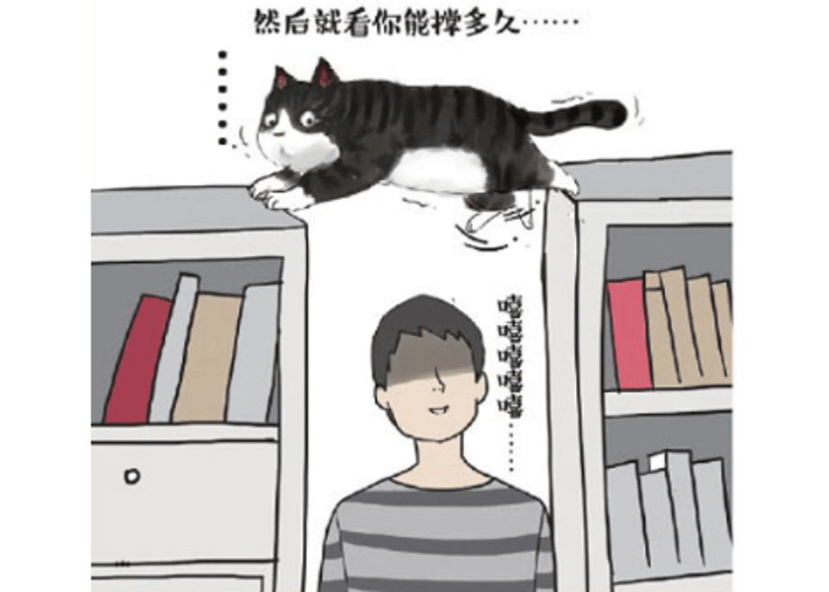 60fd283d72913468f4a3f1b1