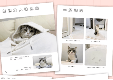 年糕日记 もちまる日記
