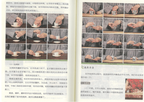 【解説本】识茶泡茶品茶
