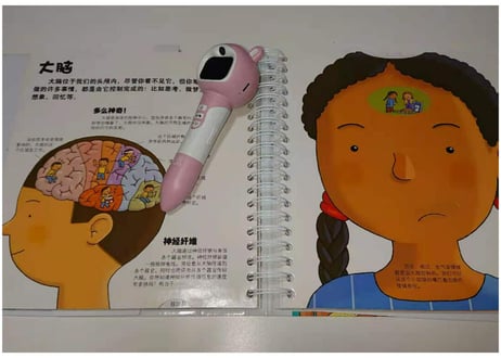 【BEILING(贝灵)】からだの不思議が学べる（中国語）※しかけをめくったりひっぱったりさわってみたり楽しい教材※別売りの【BEILING(贝灵)】タッチペンでお話がきけます【紹介動画有👆】