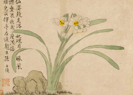 扬州八怪册页精选