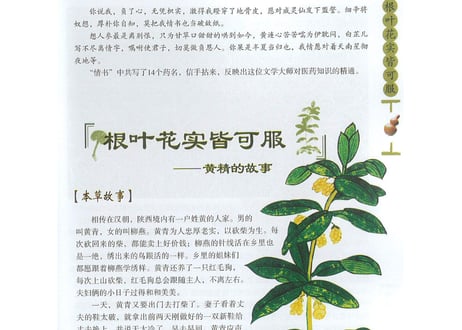 【漢方薬・解説本】中草药的故事  ～漢方薬のお話～
