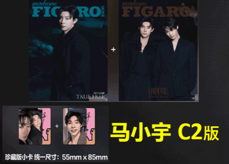 【赵柯淳・马小宇】费加罗 Madame FIGARO MODE 2025年2月