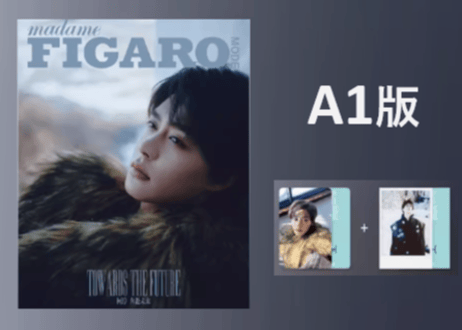 【柯淳】费加罗 Madame FIGARO MODE 2025年2月