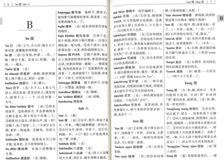 【辞典-上海方言】上海话小词典  ※ハンディサイズ