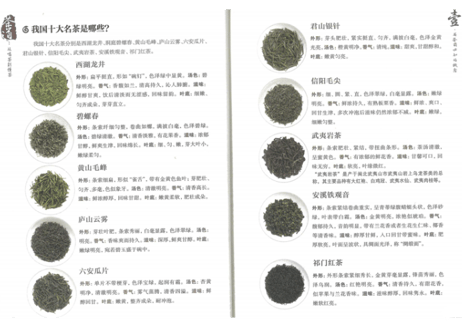 【イラスト付き解説本】茶道　从喝茶到懂茶