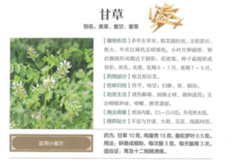 【漢方薬・解説本】中药材百科