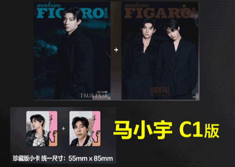 【赵柯淳・马小宇】费加罗 Madame FIGARO MODE 2025年2月