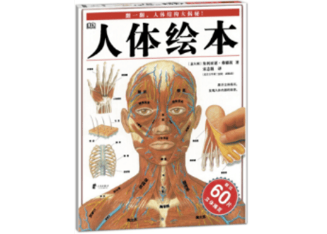 【人体図鑑】人体絵本(めくるしかけ図鑑)　大型