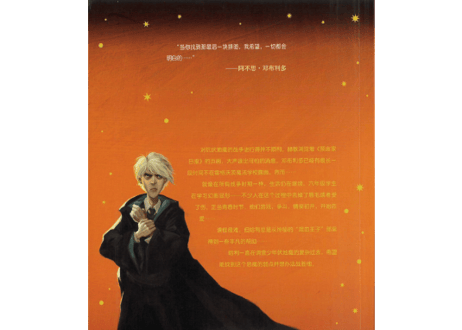 【小説】⑥哈利·波特与混血王子(ハリー・ポッターと謎のプリンス)/　著：J. K. Rowling
