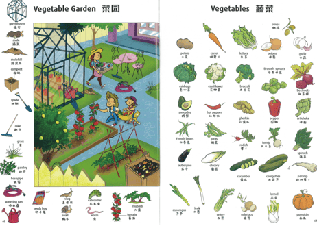 【BEILING(贝灵)】２か国語（中・英）1,000語 イラスト単語辞典　中学生・高校生・大学生・社会人向けおすすめの中国語教材 ※別売りの【BEILING(贝灵)】のタッチペン対応（中・英）