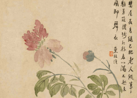 扬州八怪册页精选