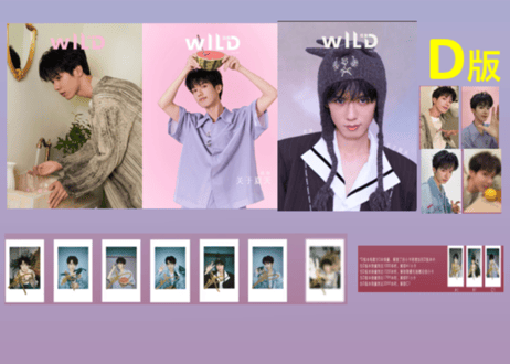 【郑锋】WILD风象 2025年