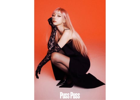 【aespa(エスパ)】【KARINA】PUSS PUSS 2025年