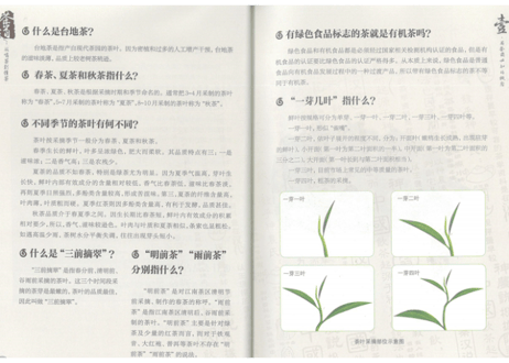 【イラスト付き解説本】茶道　从喝茶到懂茶