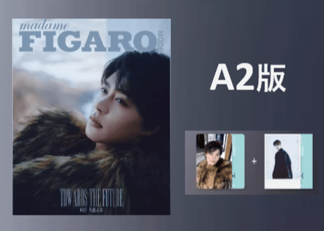 【柯淳】费加罗 Madame FIGARO MODE 2025年2月