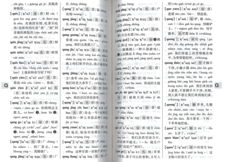 【辞典】中国雲南省方言　『佤汉大词典』