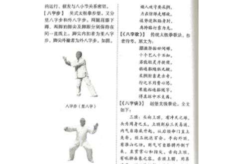 ※発行年が古いため経年劣化が見られます※【太極拳】中国太极拳辞典　　作者: 余功保