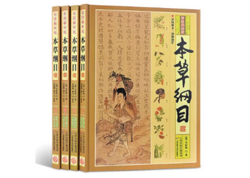 歴史-医学書】本草纲目 4冊セット | E
