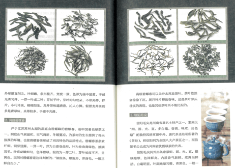 【解説本】识茶泡茶品茶