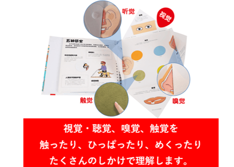 【BEILING(贝灵)】からだの不思議が学べる（中国語）※しかけをめくったりひっぱったりさわってみたり楽しい教材※別売りの【BEILING(贝灵)】タッチペンでお話がきけます【紹介動画有👆】