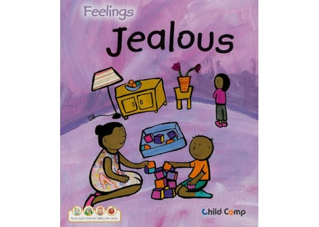 【英語】 Feelings 　12冊セット　※ソフトカバー