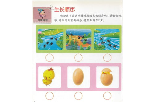 【４,５才向け】あそんで身につく学習セット　『中国語脳ドリルとフラッシュカード【２種類（ 識字と たべもの・身近なもの）】』のセット