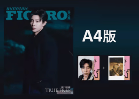 【马小宇】费加罗 Madame FIGARO MODE 2025年2月