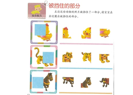 【２,３才向け】あそんで身につく学習セット　『中国語脳ドリルとフラッシュカード【２種類（すうじ と どうぶつ）】』のセット