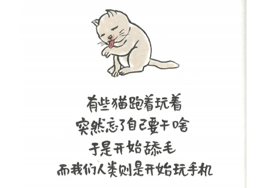 6229c63eeac95763dce1f68e