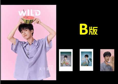 【郑锋】WILD风象 2025年